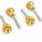 FXR Side Cover Screws P16