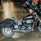Dyna Leather Pros Saddlebags